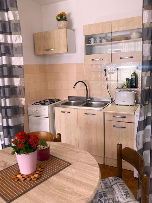 Melanie Apartment Umag